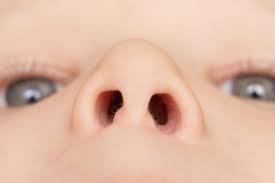 Child nose